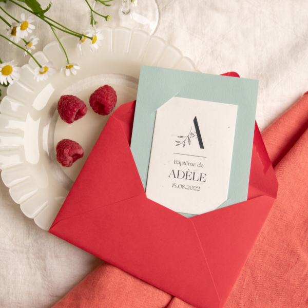 Cadeau invités baptême graines