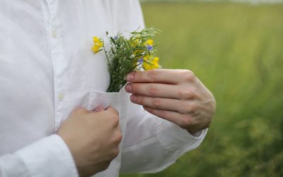 Fleurs et symbolique : comment bien choisir votre variété de graines ?