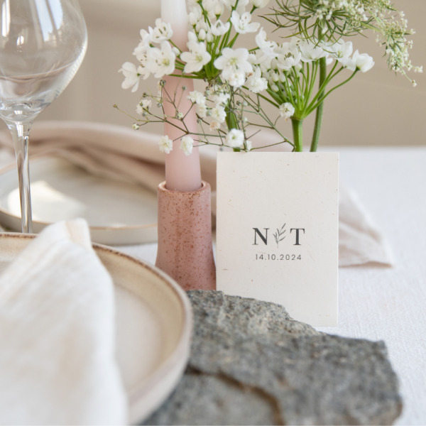 Cadeau invité mariage à semer