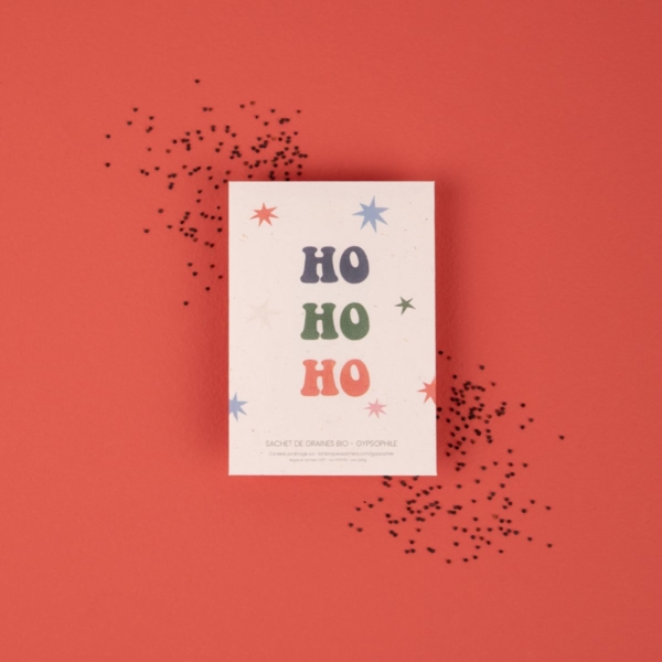 HO HO HO Groovy - Sachets de graines