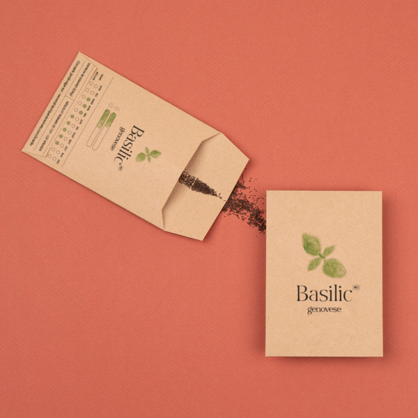Sachets de graines de Basilic
