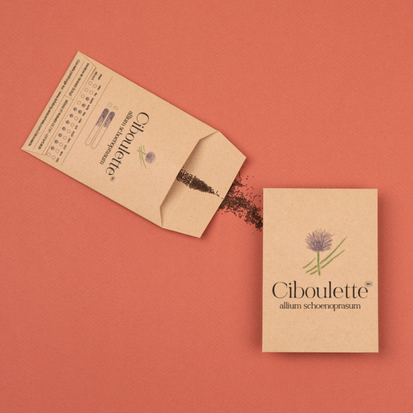 Sachets de graines de Ciboulette